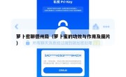 萝卜密聊德州局（萝卜蜜的功效与作用及图片）