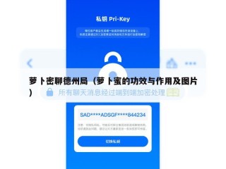 萝卜密聊德州局（萝卜蜜的功效与作用及图片）