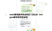 mata聊天软件安全码忘了怎么办（eingma聊天软件安全吗）