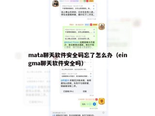 mata聊天软件安全码忘了怎么办（eingma聊天软件安全吗）