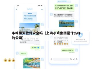 小咚聊天软件安全吗（上海小咚集团是什么样的公司）