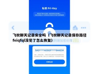 飞秋聊天记录安全吗（飞秋聊天记录保存路径feiqfql没见了怎么恢复）
