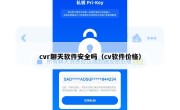 cvr聊天软件安全吗（cv软件价格）