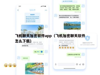 飞机聊天加密软件app（飞机加密聊天软件怎么下载）