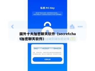 国外十大加密聊天软件（secretchat加密聊天软件）