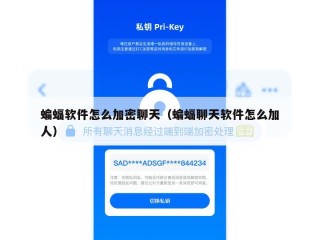 蝙蝠软件怎么加密聊天（蝙蝠聊天软件怎么加人）