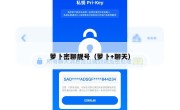 萝卜密聊靓号（萝卜+聊天）