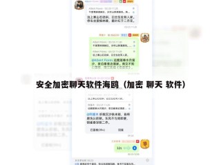 安全加密聊天软件海鸥（加密 聊天 软件）