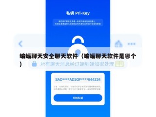 蝙蝠聊天安全聊天软件（蝙蝠聊天软件是哪个）