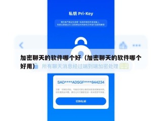 加密聊天的软件哪个好（加密聊天的软件哪个好用）