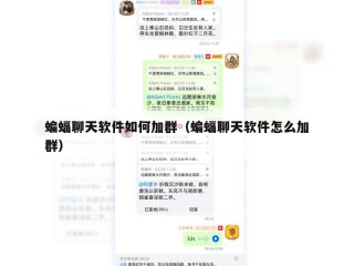 蝙蝠聊天软件如何加群（蝙蝠聊天软件怎么加群）
