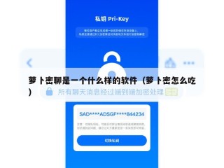萝卜密聊是一个什么样的软件（萝卜密怎么吃）