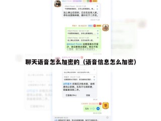 聊天语音怎么加密的（语音信息怎么加密）