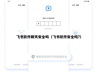 飞书软件聊天安全吗（飞书软件安全吗?）