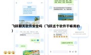 飞跃聊天软件安全吗（飞跃这个软件干嘛用的）