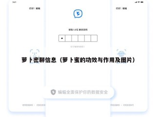 萝卜密聊信息（萝卜蜜的功效与作用及图片）