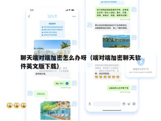 聊天端对端加密怎么办呀（端对端加密聊天软件英文版下载）