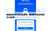 蝙蝠加密聊天怎么撤回来（蝙蝠聊天加密失败怎么处理）
