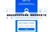 蝙蝠加密聊天软件苹果版（蝙蝠密聊苹果下载）