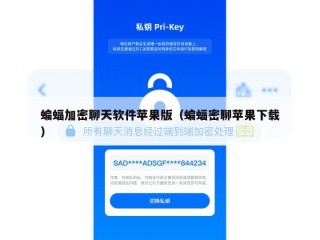 蝙蝠加密聊天软件苹果版（蝙蝠密聊苹果下载）