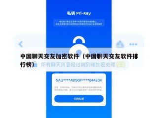 中国聊天交友加密软件（中国聊天交友软件排行榜）