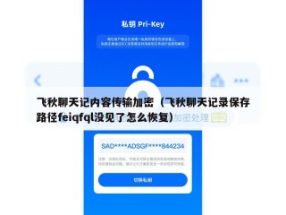 飞秋聊天记内容传输加密（飞秋聊天记录保存路径feiqfql没见了怎么恢复）