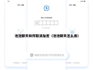 泡泡聊天如何取消加密（泡泡聊天怎么用）