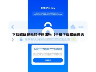 下载蝙蝠聊天软件违法吗（手机下载蝙蝠聊天）