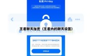 王者聊天加密（王者内的聊天设置）
