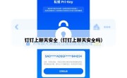 钉钉上聊天安全（钉钉上聊天安全吗）