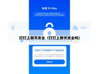 钉钉上聊天安全（钉钉上聊天安全吗）