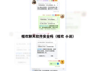 相欢聊天软件安全吗（相欢 小说）