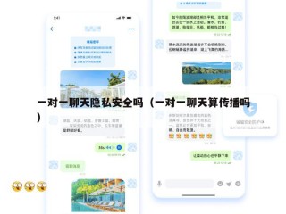 一对一聊天隐私安全吗（一对一聊天算传播吗）