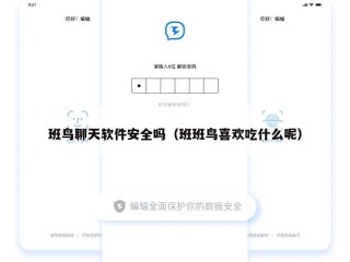 班鸟聊天软件安全吗（班班鸟喜欢吃什么呢）