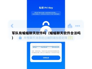 军队有蝙蝠聊天软件吗（蝙蝠聊天软件合法吗）
