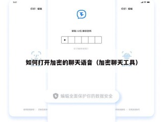 如何打开加密的聊天语音（加密聊天工具）