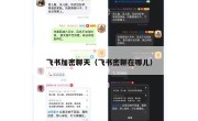 飞书加密聊天（飞书密聊在哪儿）
