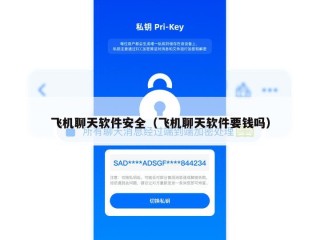 飞机聊天软件安全（飞机聊天软件要钱吗）