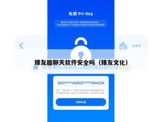 臻友趣聊天软件安全吗（臻友文化）