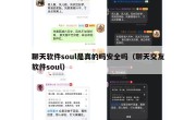 聊天软件soul是真的吗安全吗（聊天交友软件soul）