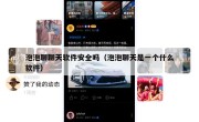 泡泡聊聊天软件安全吗（泡泡聊天是一个什么软件）