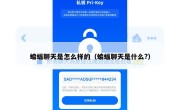 蝙蝠聊天是怎么样的（蝙蝠聊天是什么?）