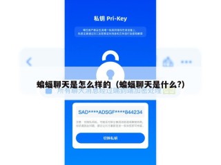 蝙蝠聊天是怎么样的（蝙蝠聊天是什么?）