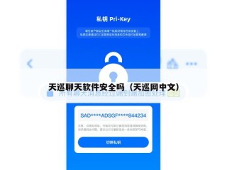 天巡聊天软件安全吗（天巡网中文）