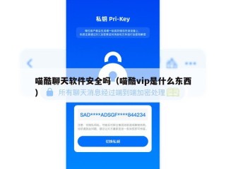 喵酷聊天软件安全吗（喵酷vip是什么东西）