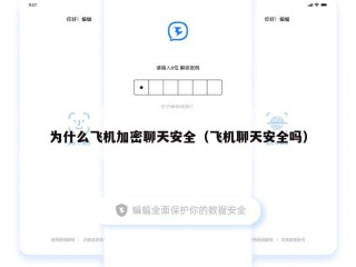 为什么飞机加密聊天安全（飞机聊天安全吗）