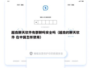 越南聊天软件有群聊吗安全吗（越南的聊天软件 在中国怎样使用）