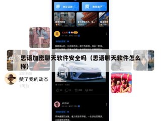 思语加密聊天软件安全吗（思语聊天软件怎么样）