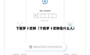 下载萝卜密聊（下载萝卜密聊是什么人）