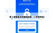 萝卜密聊是怎样赚钱的呢（卜罗密咋吃）